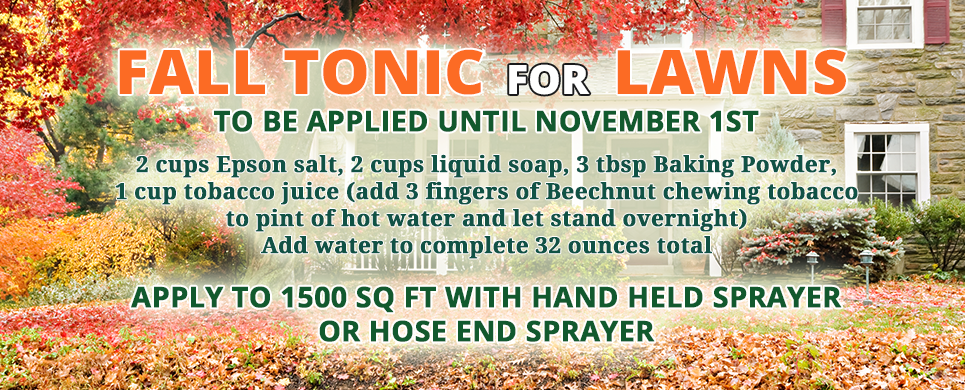 Fall Tonic for Lawns